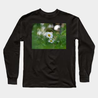 White daisy flower among green grasses with a nice bokeh. Long Sleeve T-Shirt